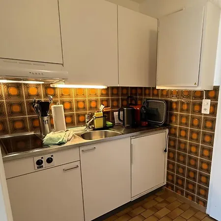 Residenza Corallo-7 By Interhome Apartament Ascona