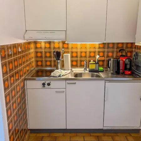 Residenza Corallo-7 By Interhome * Ascona