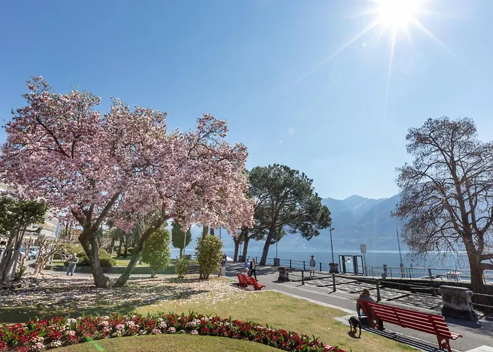 Residenza Corallo-7 By Interhome Apartament Ascona